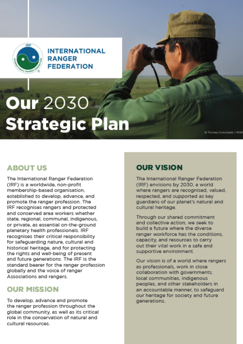 IRF 2030 Strategic Plan (English)